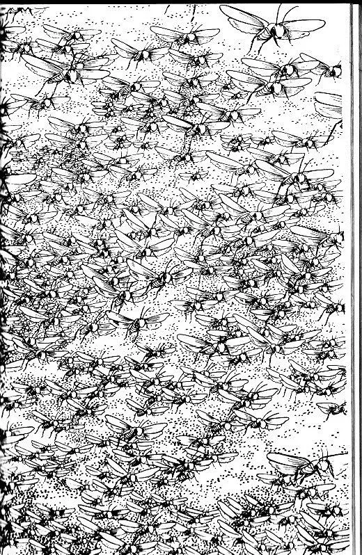 Buda (1972) - Capítulo 3 - Página 5 - LectorTMOo