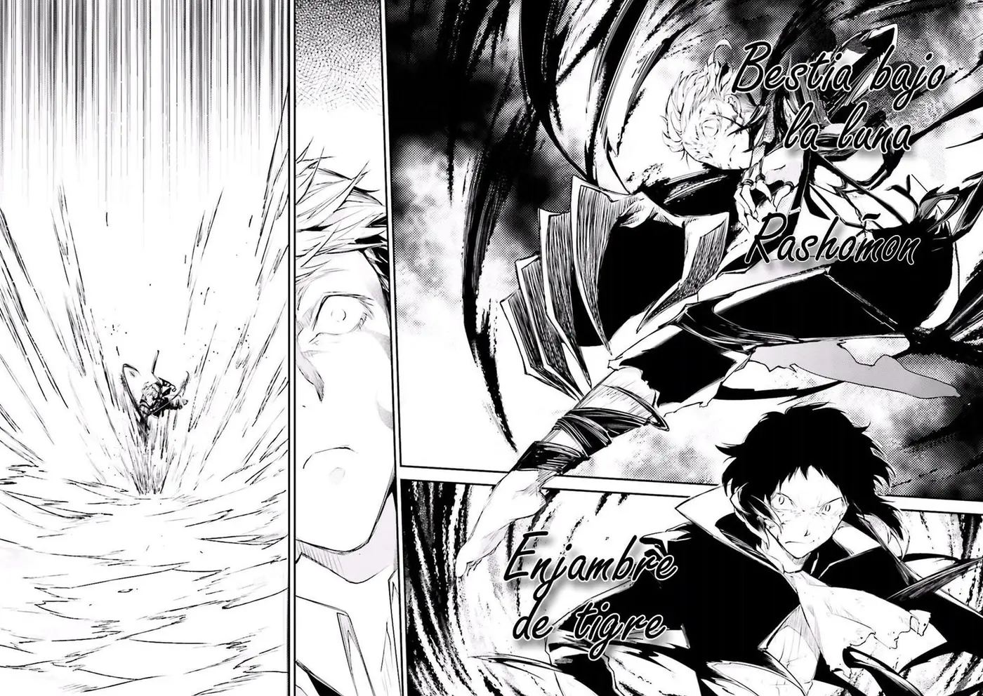 Bungou Stray Dogs (2012) - Capítulo 36 - Página 15 - LectorTMOo