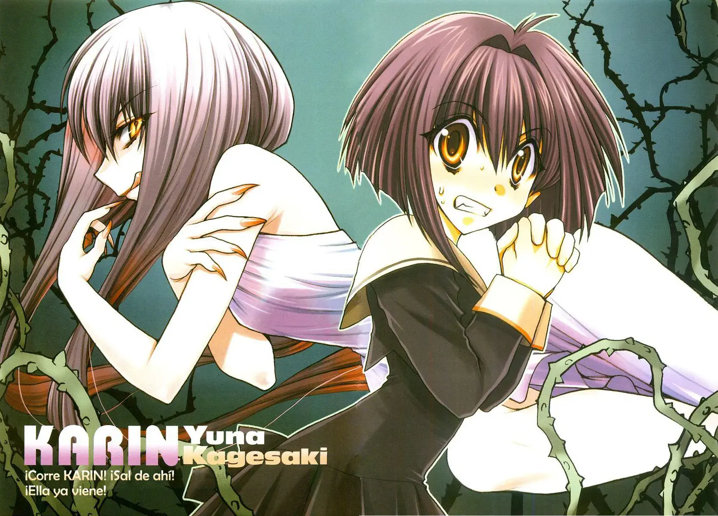 Chibi vampire Karin (2003) - Capítulo 19 - Página 1 - LectorTMOo