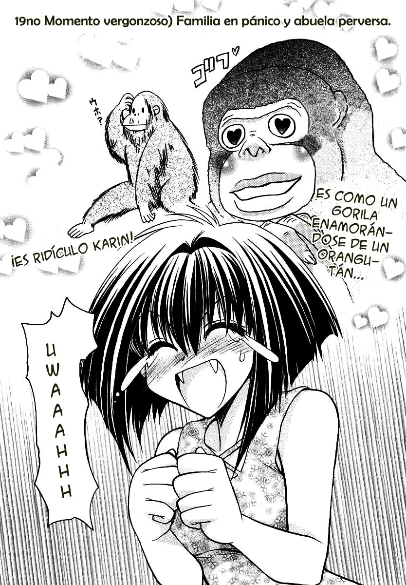 Chibi vampire Karin (2003) - Capítulo 19 - Página 3 - LectorTMOo