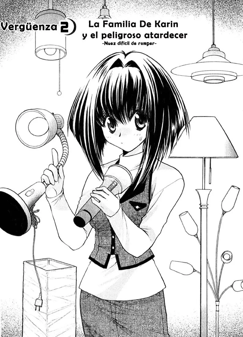 Chibi vampire Karin (2003) - Capítulo 2 - Página 1 - LectorTMOo