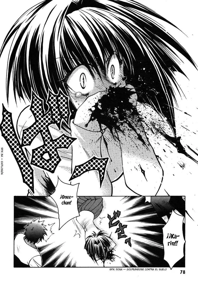 Chibi vampire Karin (2003) - Capítulo 24 - Página 36 - LectorTMOo