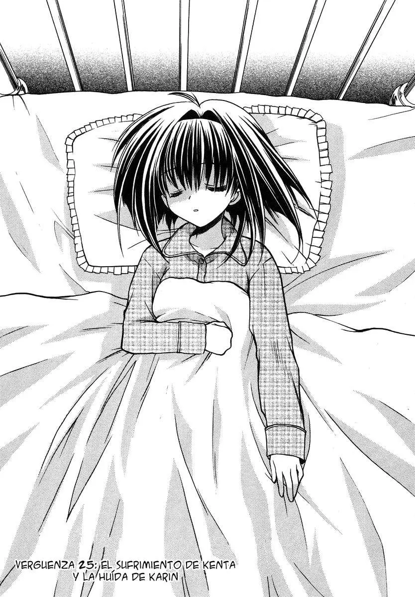 Chibi vampire Karin (2003) - Capítulo 25 - Página 2 - LectorTMOo