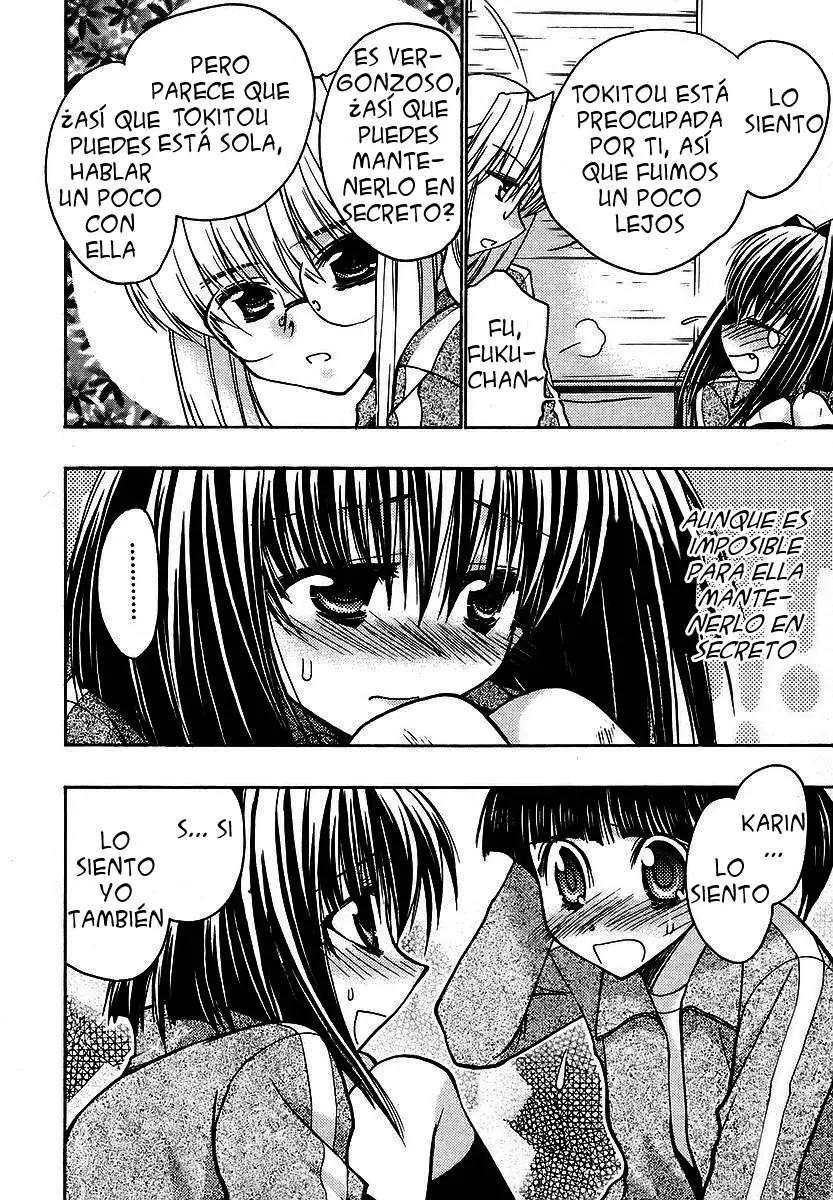 Chibi vampire Karin (2003) - Capítulo 31 - Página 17 - LectorTMOo
