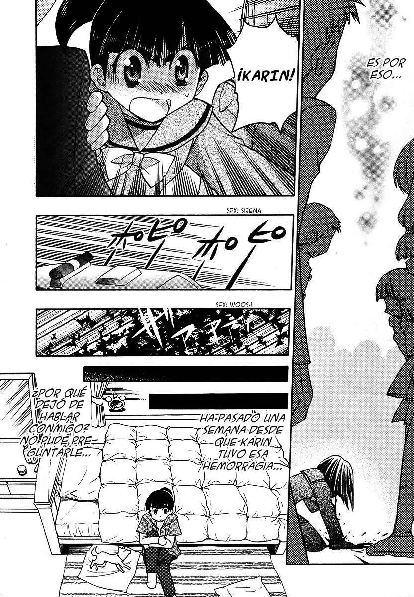 Chibi vampire Karin (2003) - Capítulo 35.05 - Página 14 - LectorTMOo
