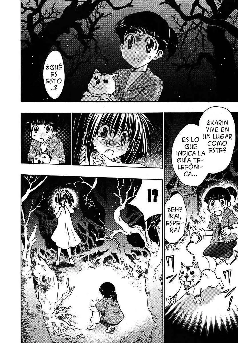 Chibi vampire Karin (2003) - Capítulo 35.05 - Página 18 - LectorTMOo