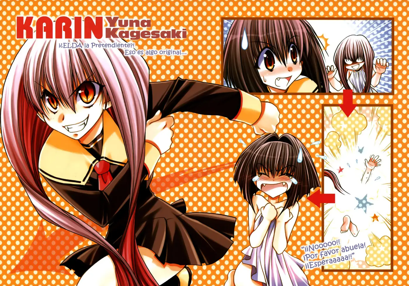 Chibi vampire Karin (2003) - Capítulo 40 - Página 3 - LectorTMOo