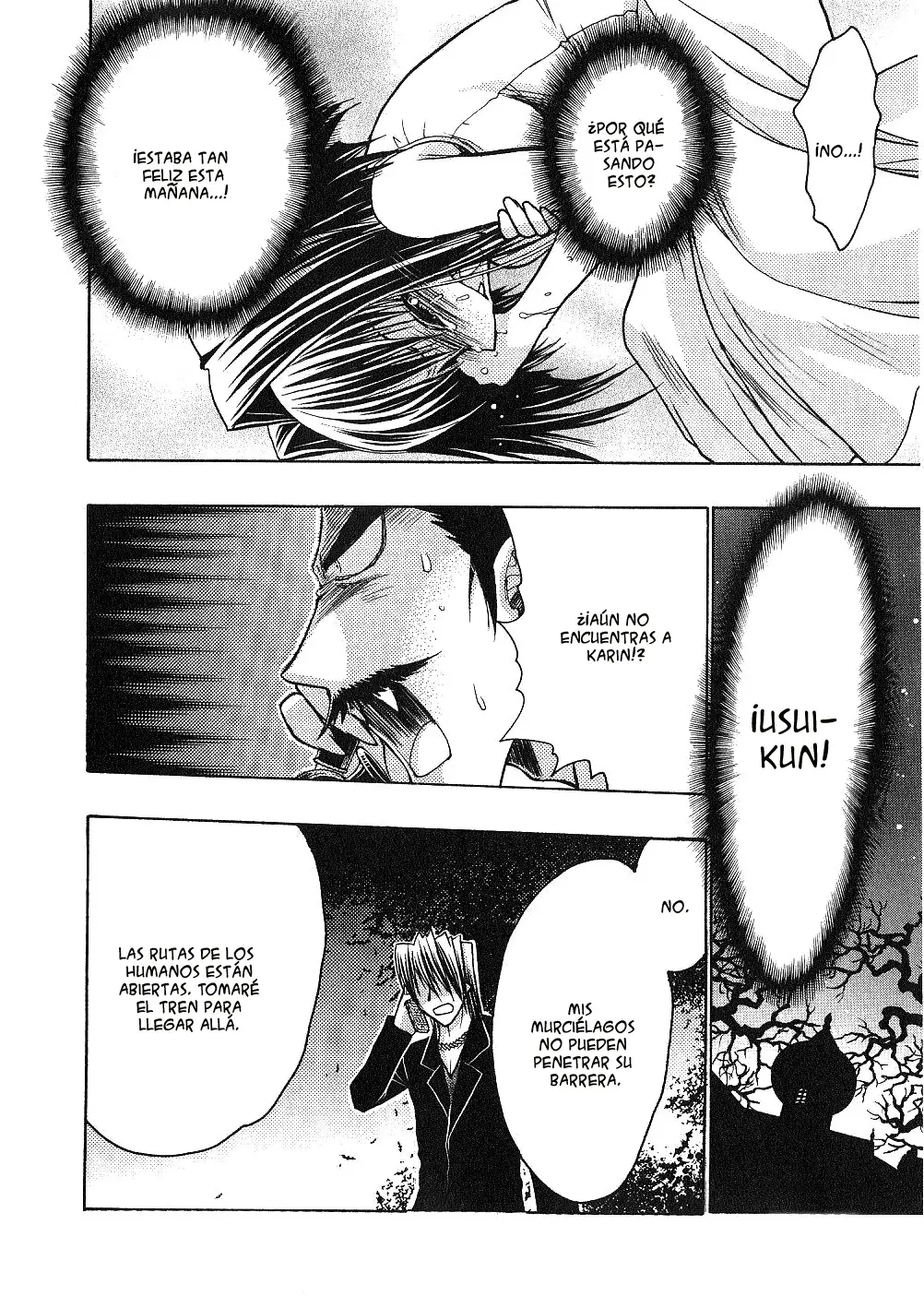 Chibi vampire Karin (2003) - Capítulo 52 - Página 18 - LectorTMOo