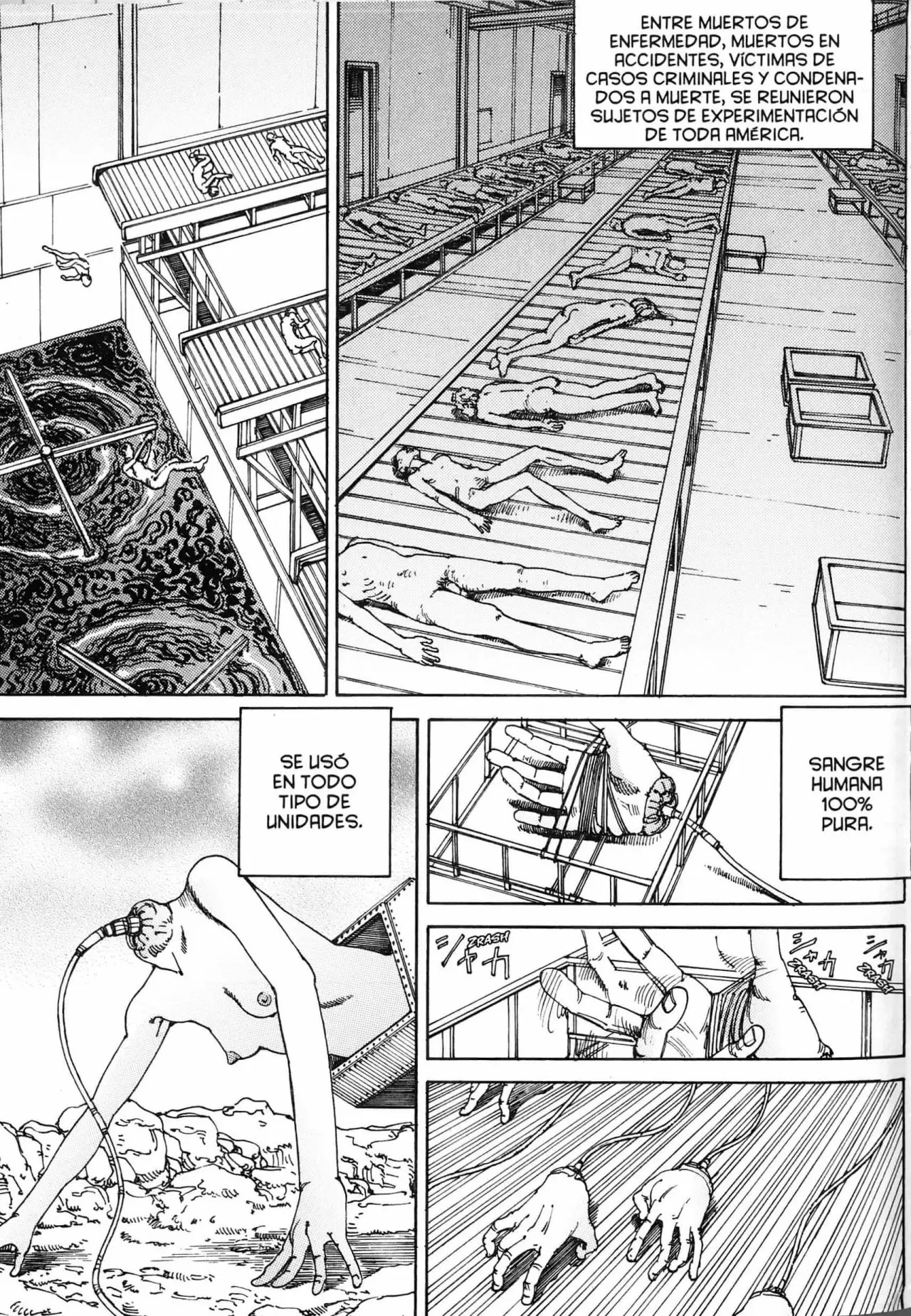 Choudouryoku Mouko Daishuurai (2013) - Capítulo 11 - Página 12 - LectorTMOo