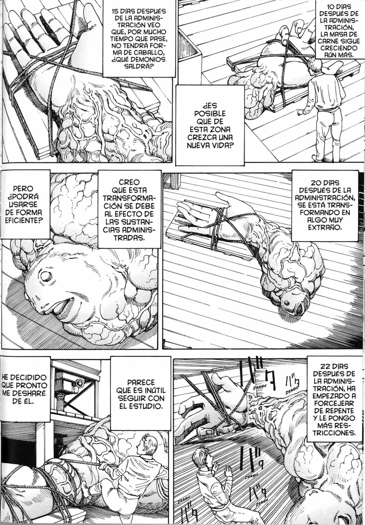 Choudouryoku Mouko Daishuurai (2013) - Capítulo 6 - Página 5 - LectorTMOo