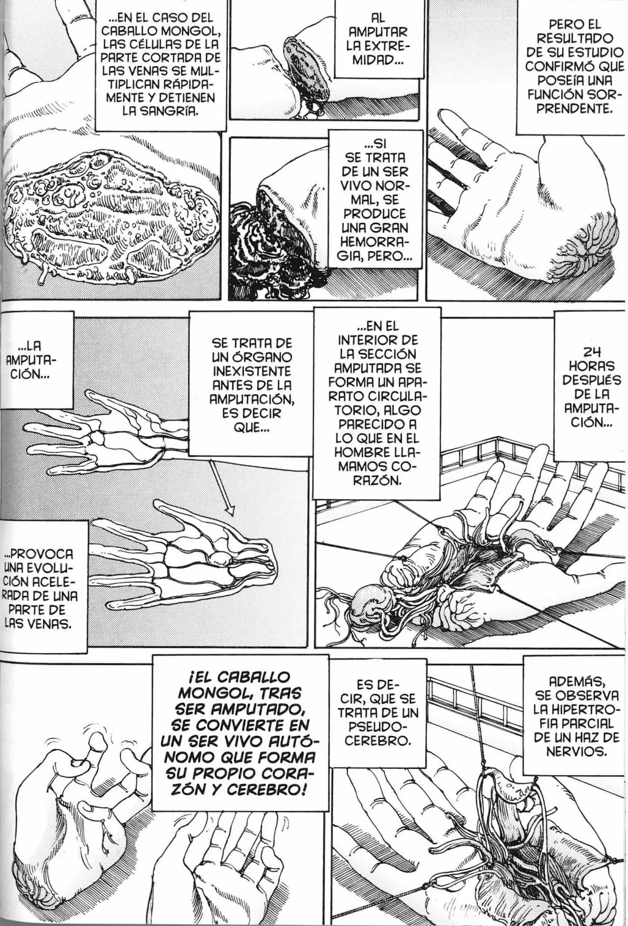 Choudouryoku Mouko Daishuurai (2013) - Capítulo 9 - Página 9 - LectorTMOo