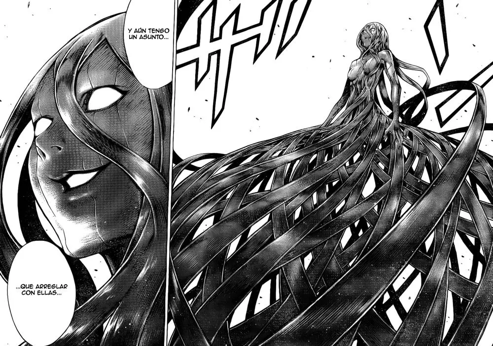 Claymore (2001) - Capítulo 91 - Página 17 - LectorTMOo