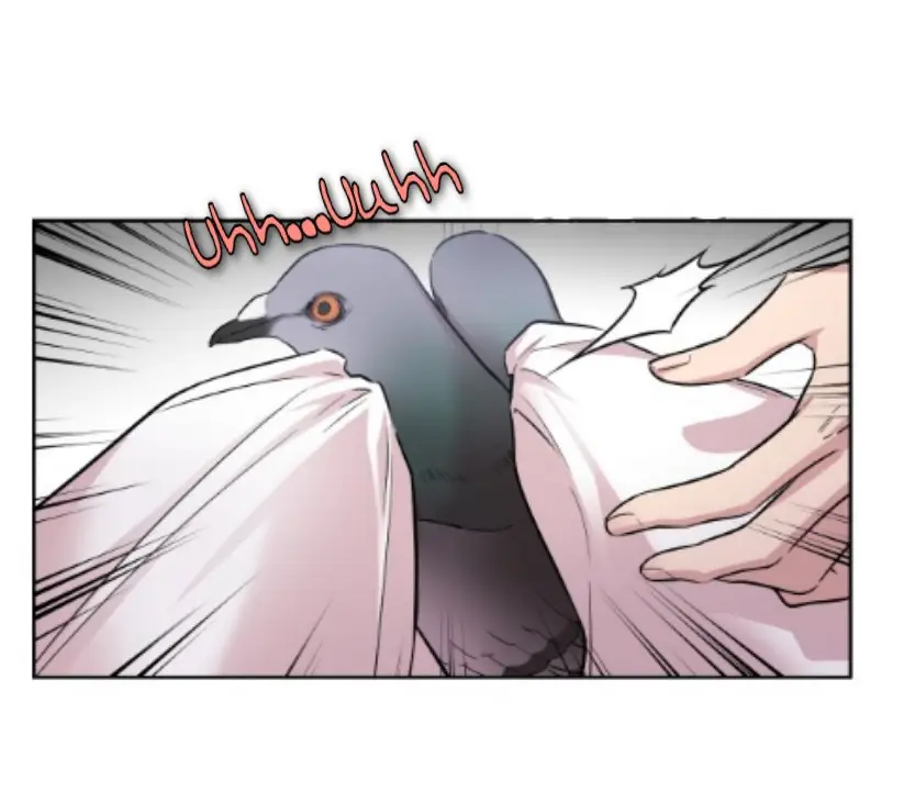 Clover (Clamp) (2016) - Capítulo 3 - Página 27 - LectorTMOo