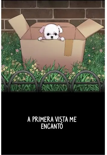Clover (Clamp) (2016) - Capítulo 6 - Página 4 - LectorTMOo