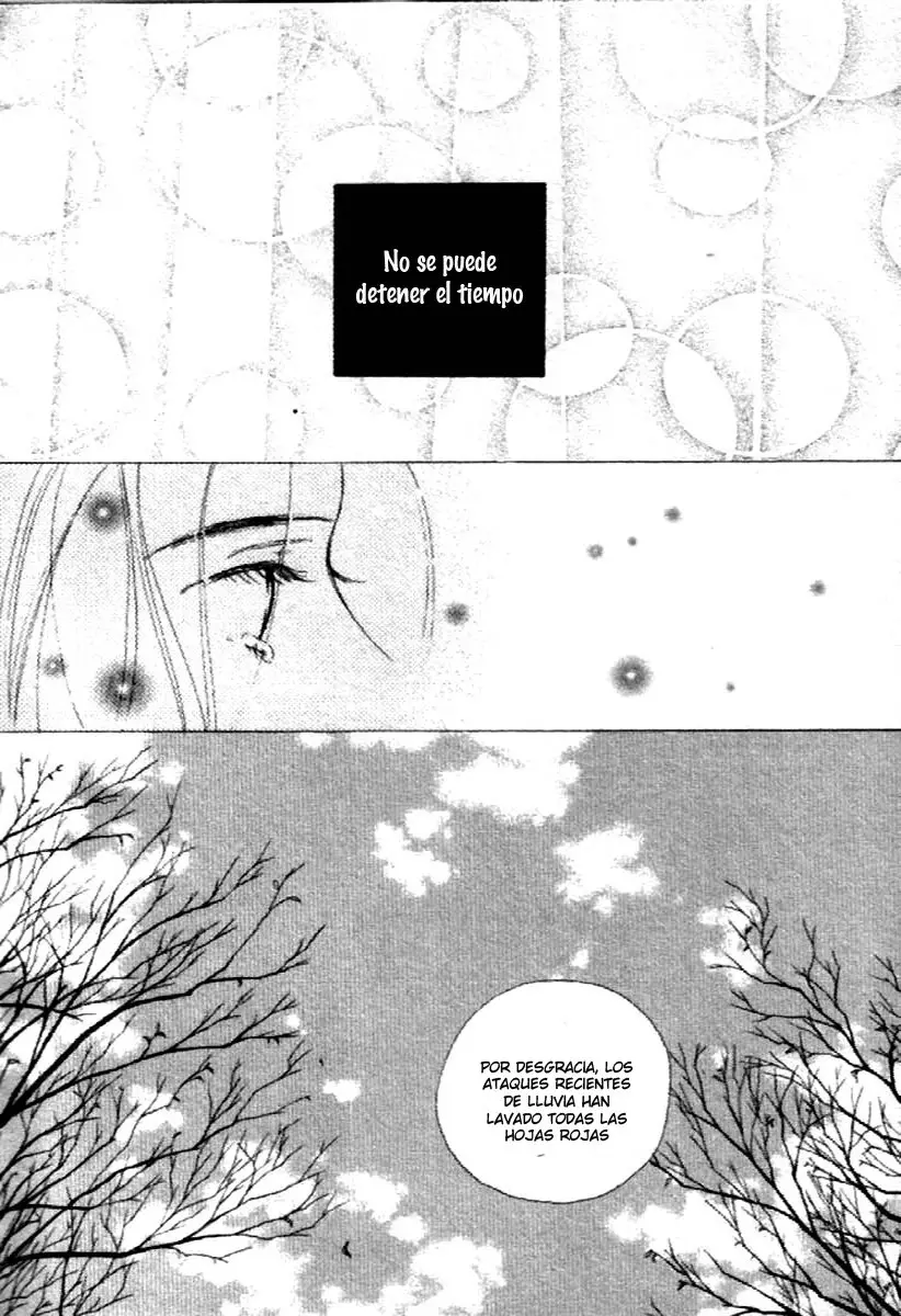 Clover (2007) - Capítulo 19 - Página 15 - LectorTMOo