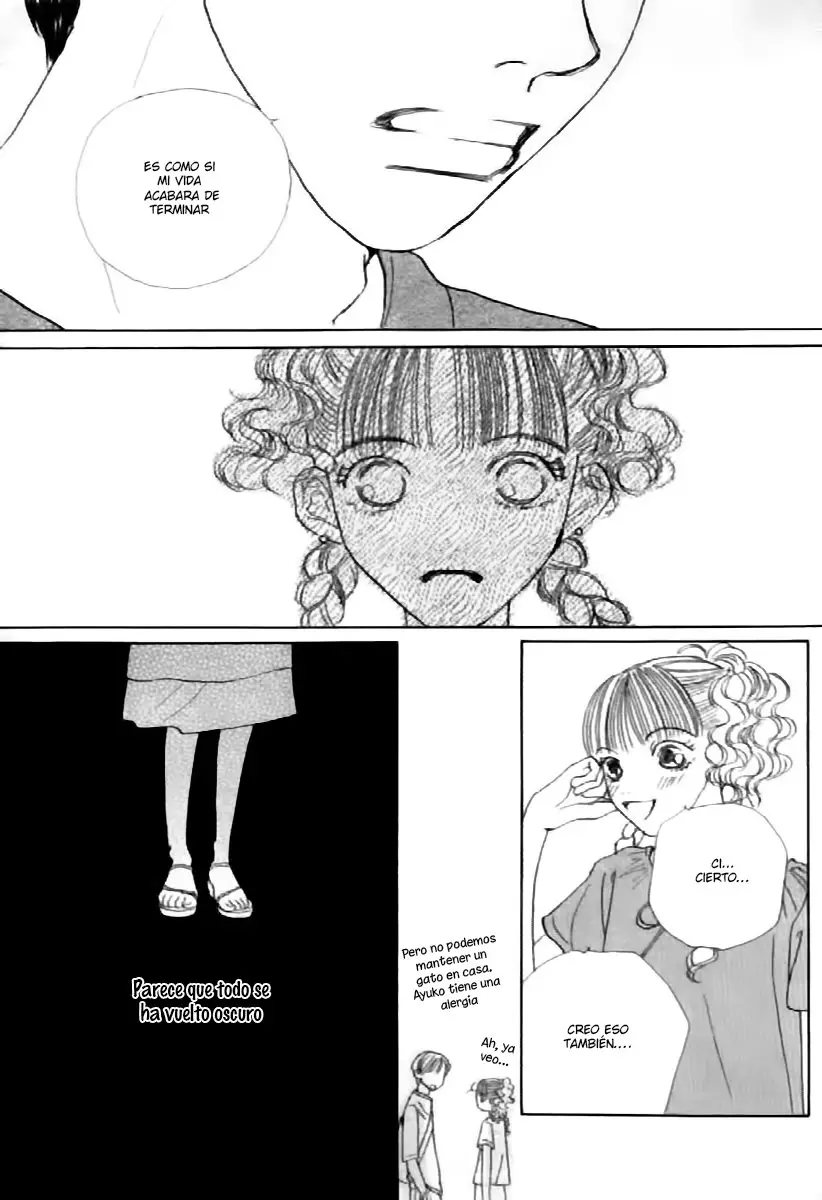 Clover (2007) - Capítulo 26 - Página 22 - LectorTMOo
