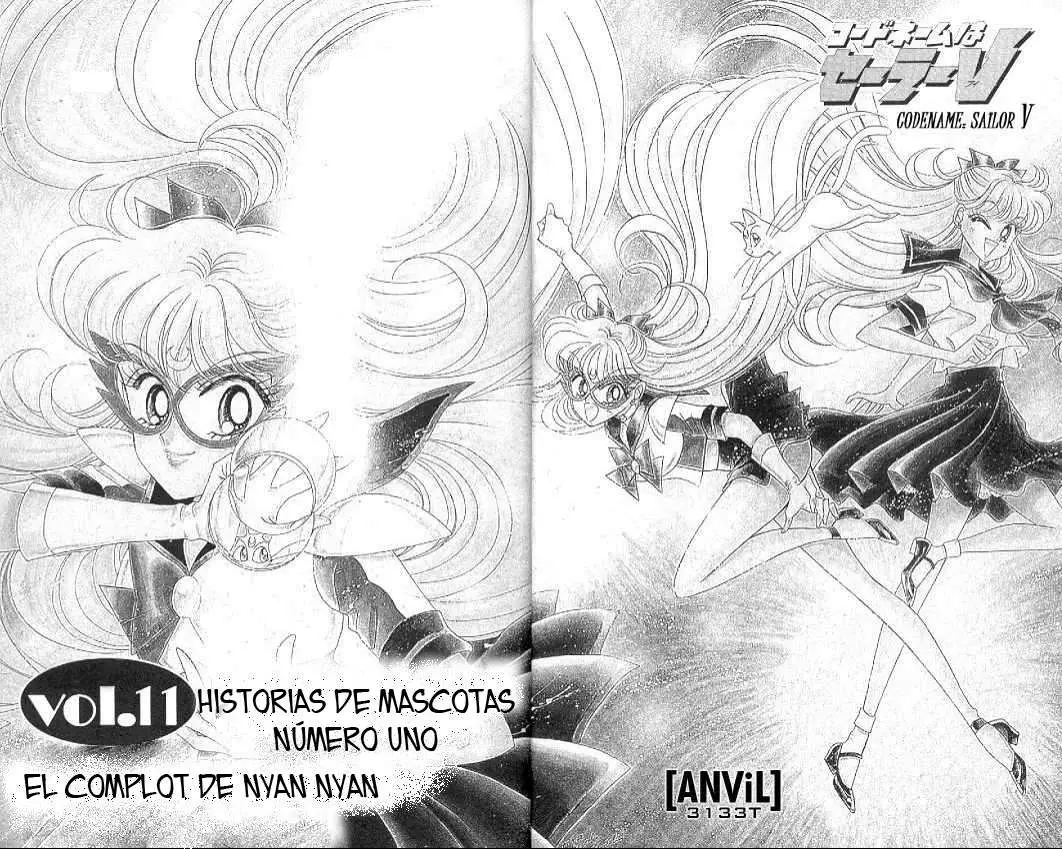 CodeName: Sailor V (1991) - Capítulo 11 - Página 2 - LectorTMOo
