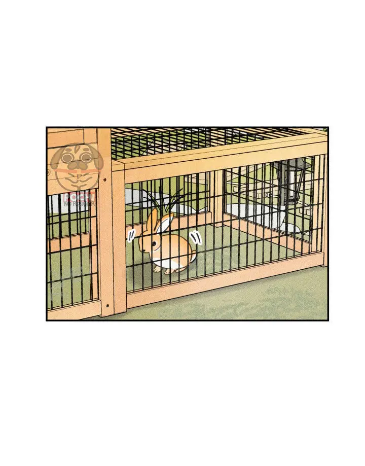 Colega ángel - Capítulo 37 - Página 11 - LectorTMOo