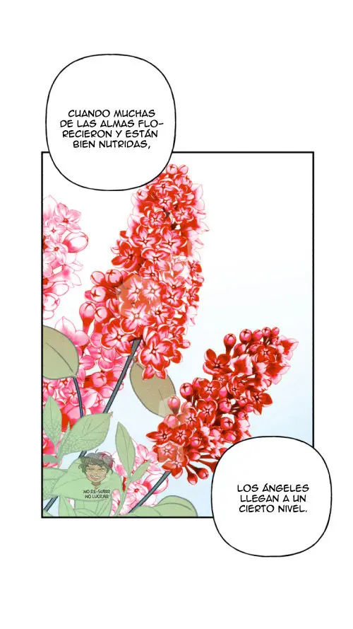 Colega ángel - Capítulo 47 - Página 21 - LectorTMOo