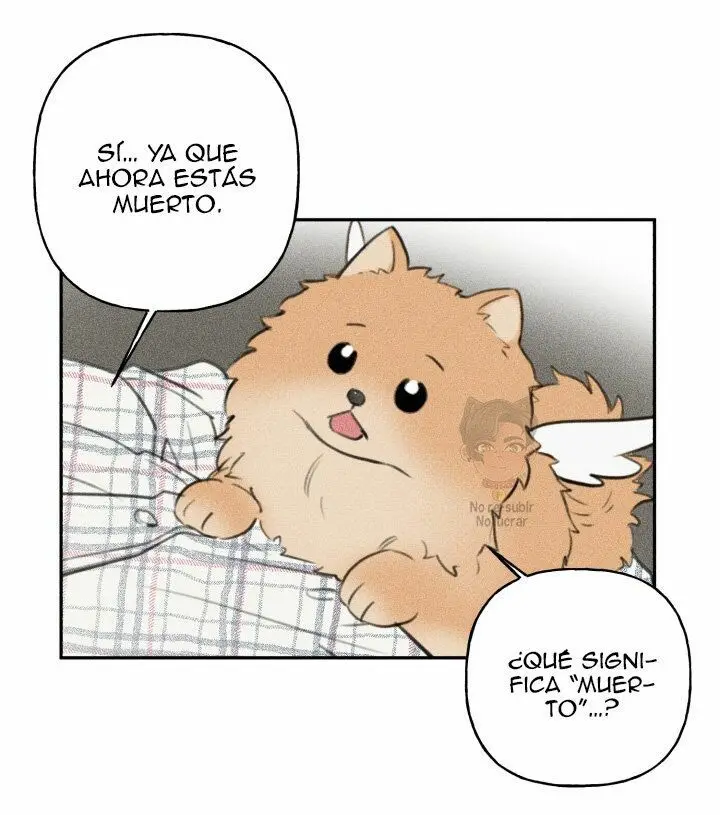 Colega ángel - Capítulo 65 - Página 12 - LectorTMOo