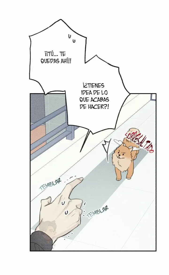 Colega ángel - Capítulo 68 - Página 38 - LectorTMOo