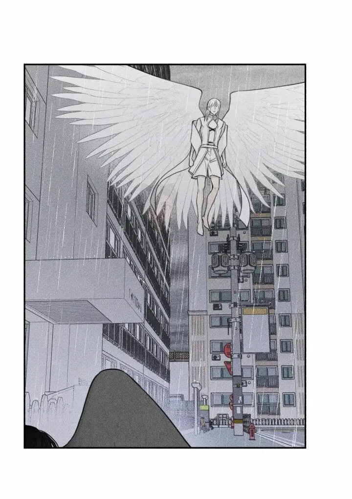 Colega ángel - Capítulo 75 - Página 50 - LectorTMOo