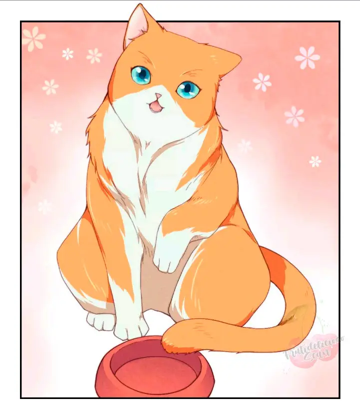 Como hacer adelgazar a tu gato naranja - Capítulo - Página 4 - LectorTMOo
