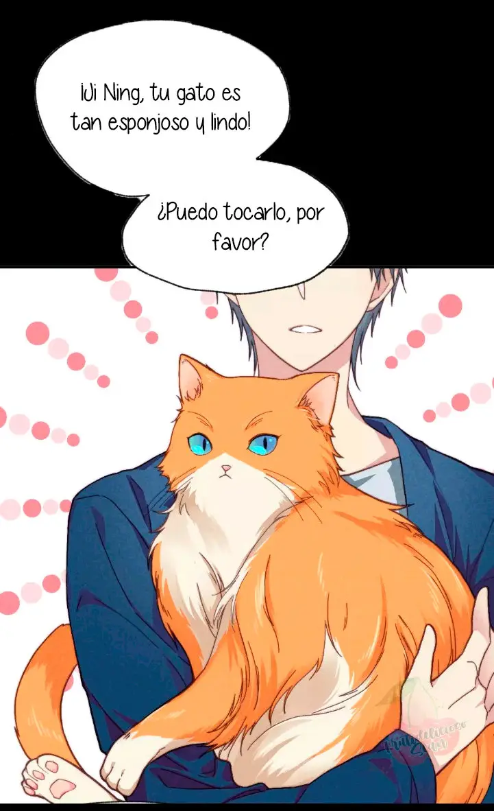 Como hacer adelgazar a tu gato naranja - Capítulo - Página 6 - LectorTMOo