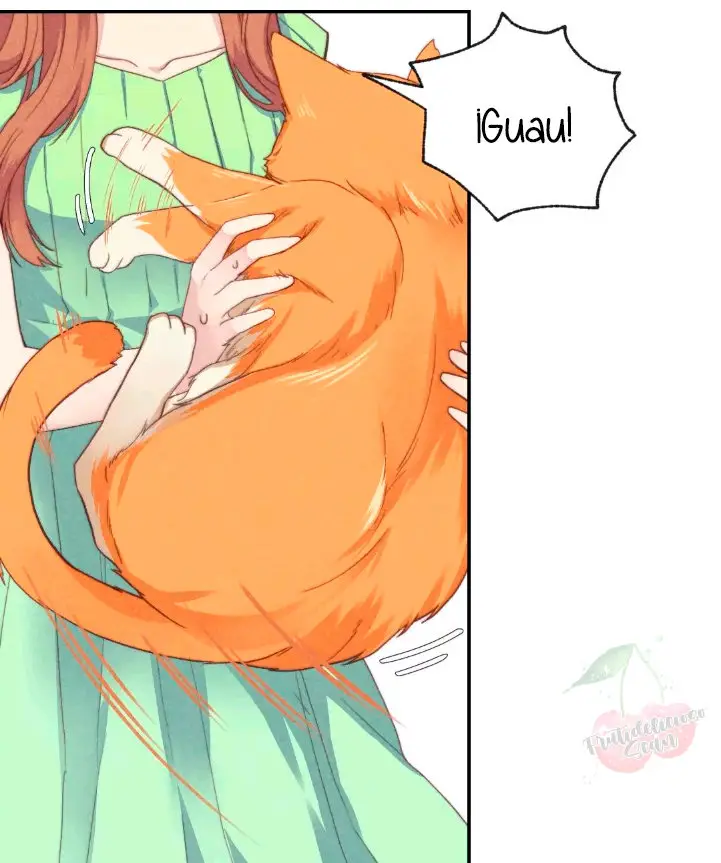 Como hacer adelgazar a tu gato naranja - Capítulo - Página 8 - LectorTMOo