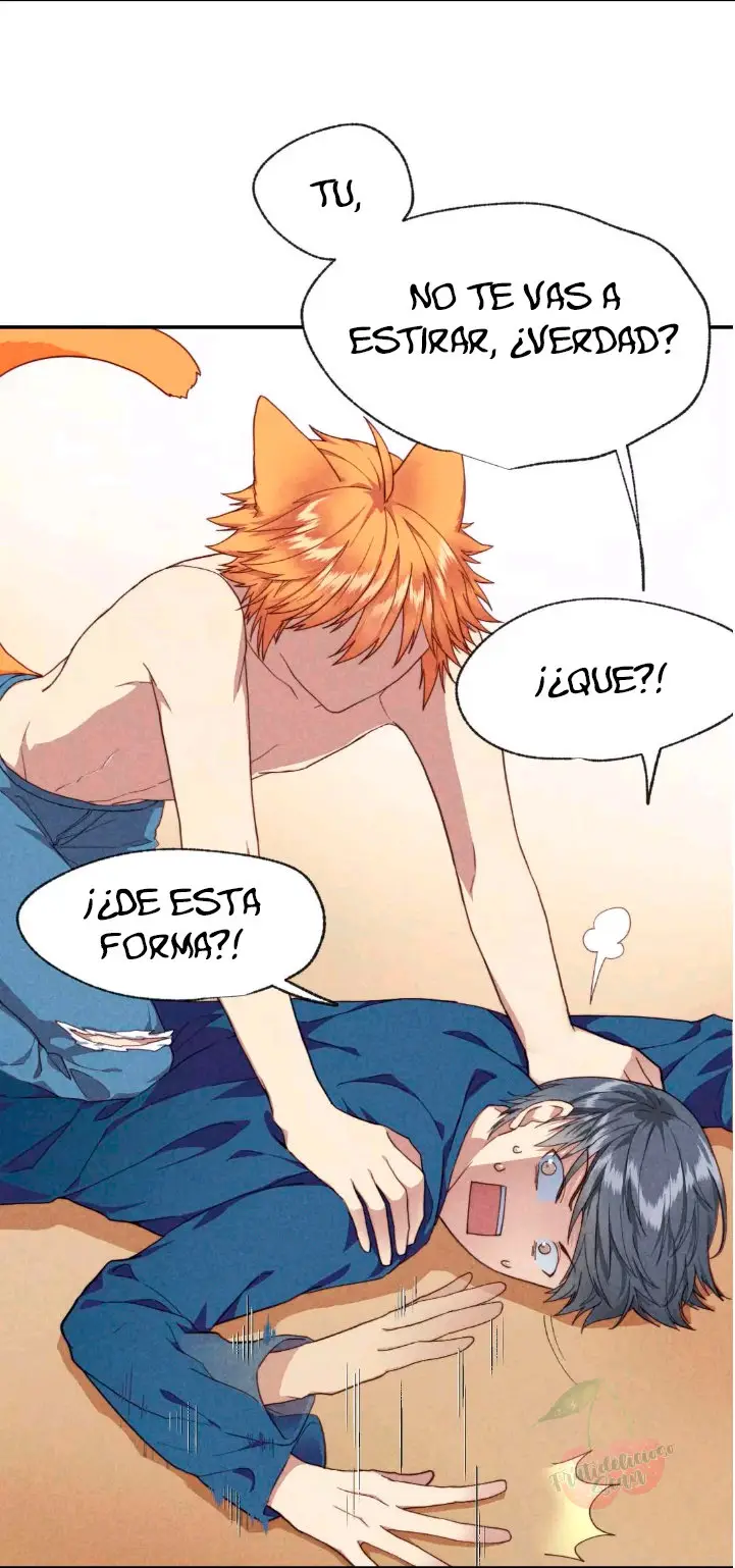 Como hacer adelgazar a tu gato naranja - Capítulo - Página 11 - LectorTMOo