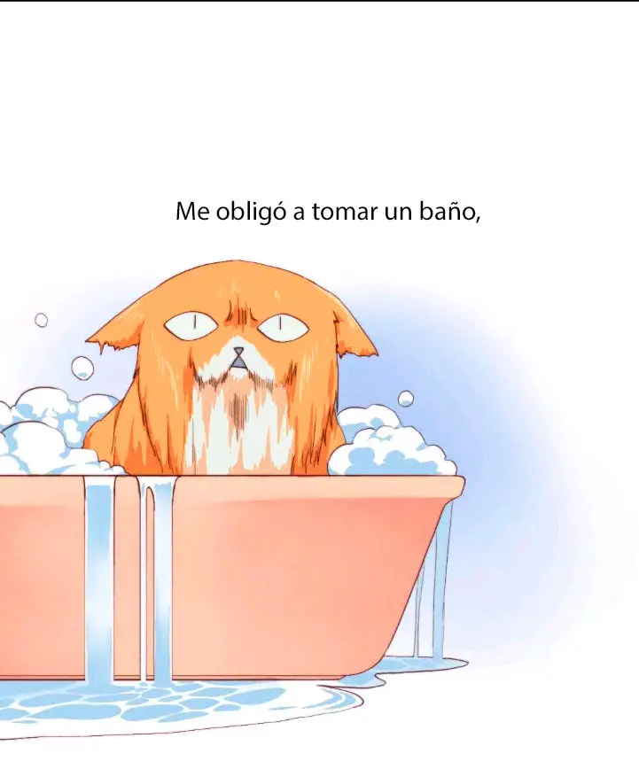 Como hacer adelgazar a tu gato naranja - Capítulo - Página 19 - LectorTMOo