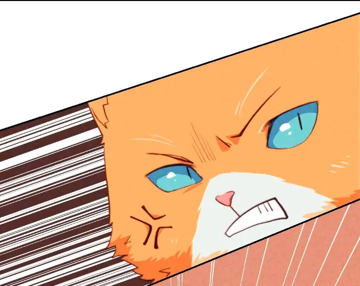 Como hacer adelgazar a tu gato naranja - Capítulo - Página 22 - LectorTMOo
