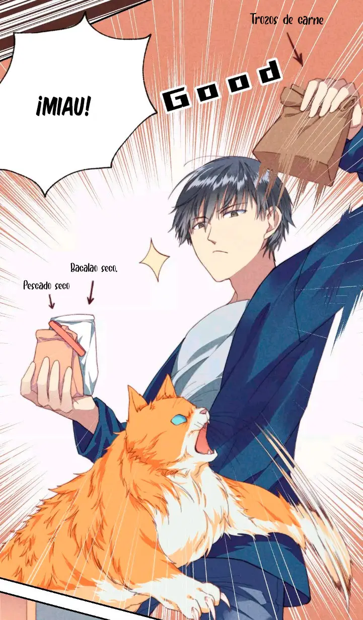 Como hacer adelgazar a tu gato naranja - Capítulo - Página 23 - LectorTMOo