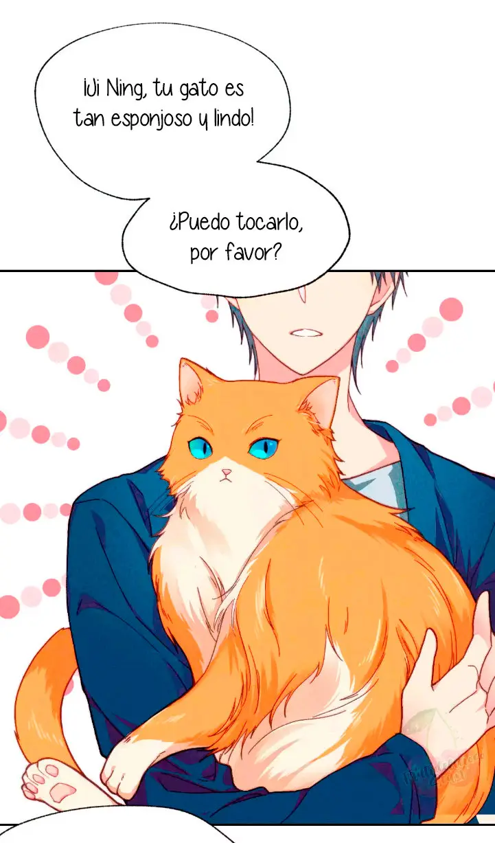 Como hacer adelgazar a tu gato naranja - Capítulo 1 - Página 4 - LectorTMOo
