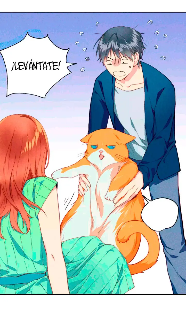 Como hacer adelgazar a tu gato naranja - Capítulo 1 - Página 11 - LectorTMOo