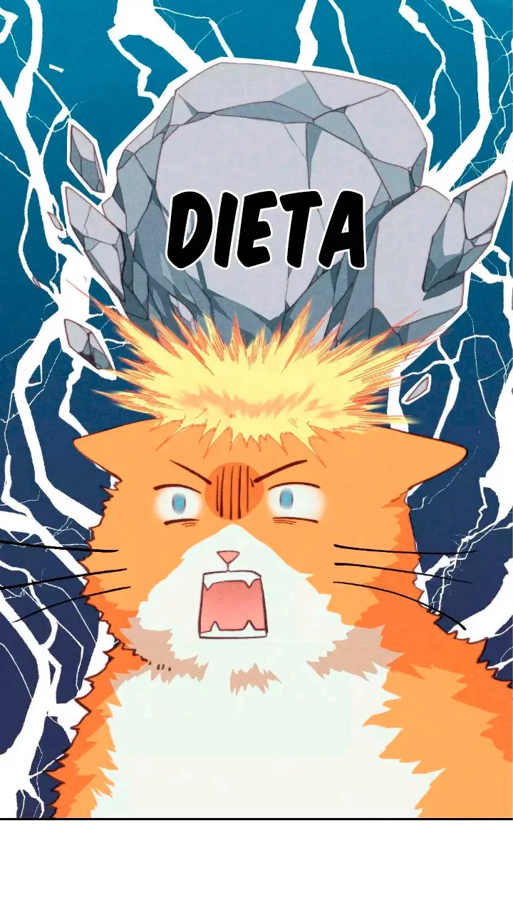 Como hacer adelgazar a tu gato naranja - Capítulo 1 - Página 17 - LectorTMOo