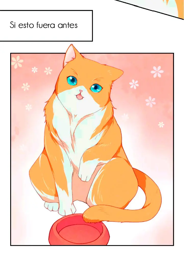 Como hacer adelgazar a tu gato naranja - Capítulo 1 - Página 21 - LectorTMOo
