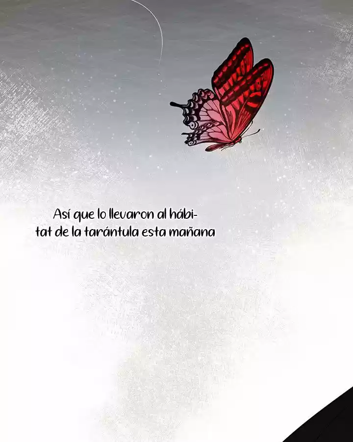 Cómo Proteger Al Hermano Mayor De La Protagonista (2021) - Capítulo 19 - Página 19 - LectorTMOo