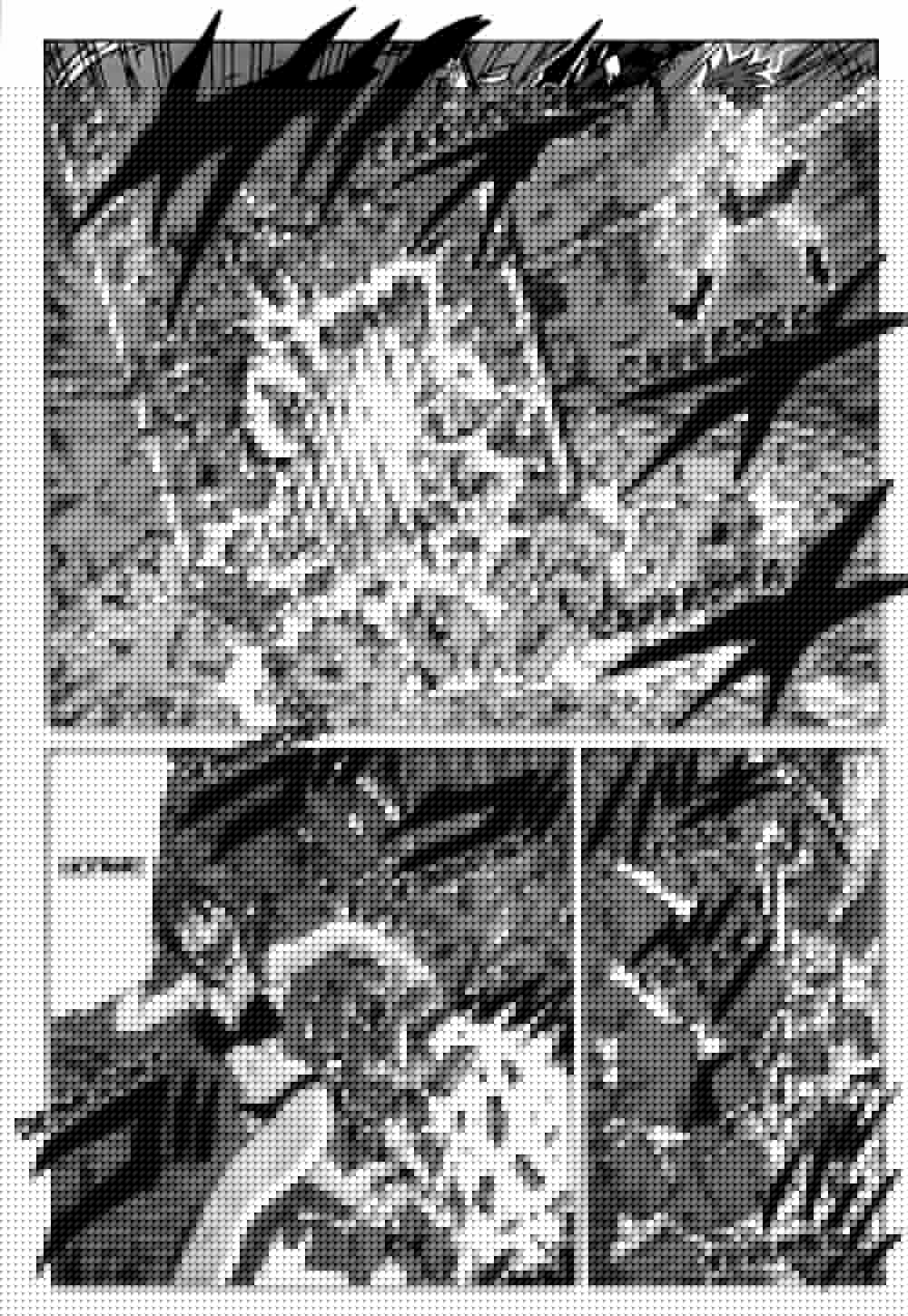 Coppelion (2006) - Capítulo 133 - Página 7 - LectorTMOo