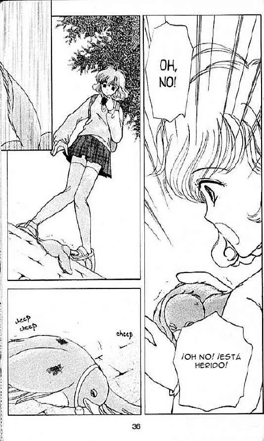 Corrector Yui (1999) - Capítulo 4 - Página 31 - LectorTMOo