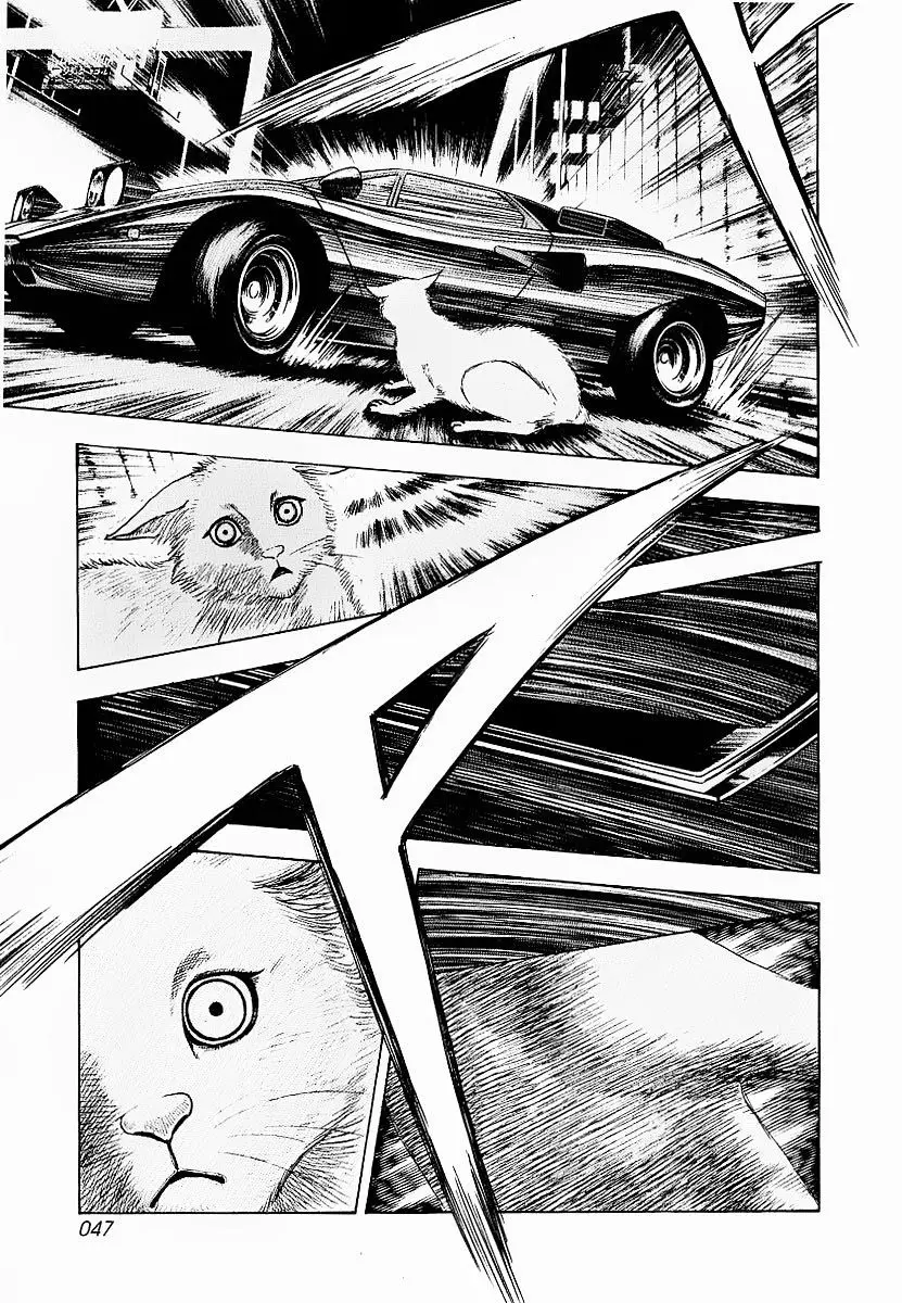 Countach (2004) - Capítulo 16 - Página 48 - LectorTMOo