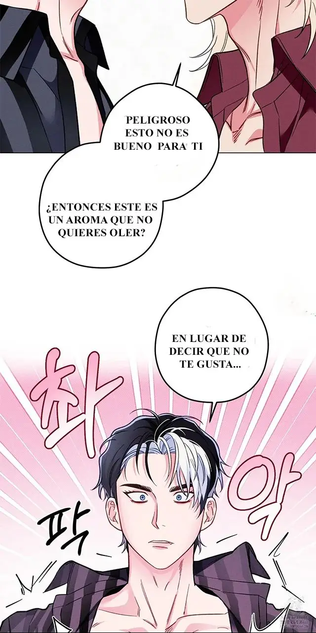 El conde reencarnado es omega (2025) - Capítulo 6 - Página 14 - LectorTMOo