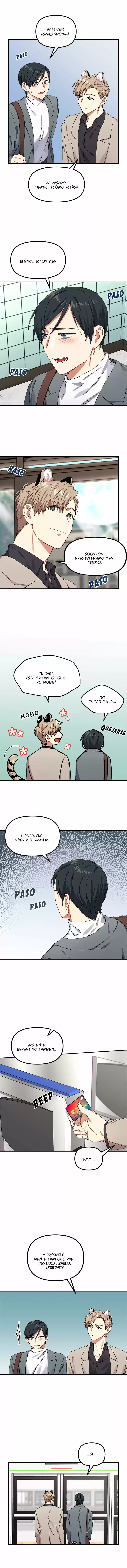 El dia del matrimonio del tigre (Tiger's Wedding Day) - Capítulo 6 - Página 9 - LectorTMOo
