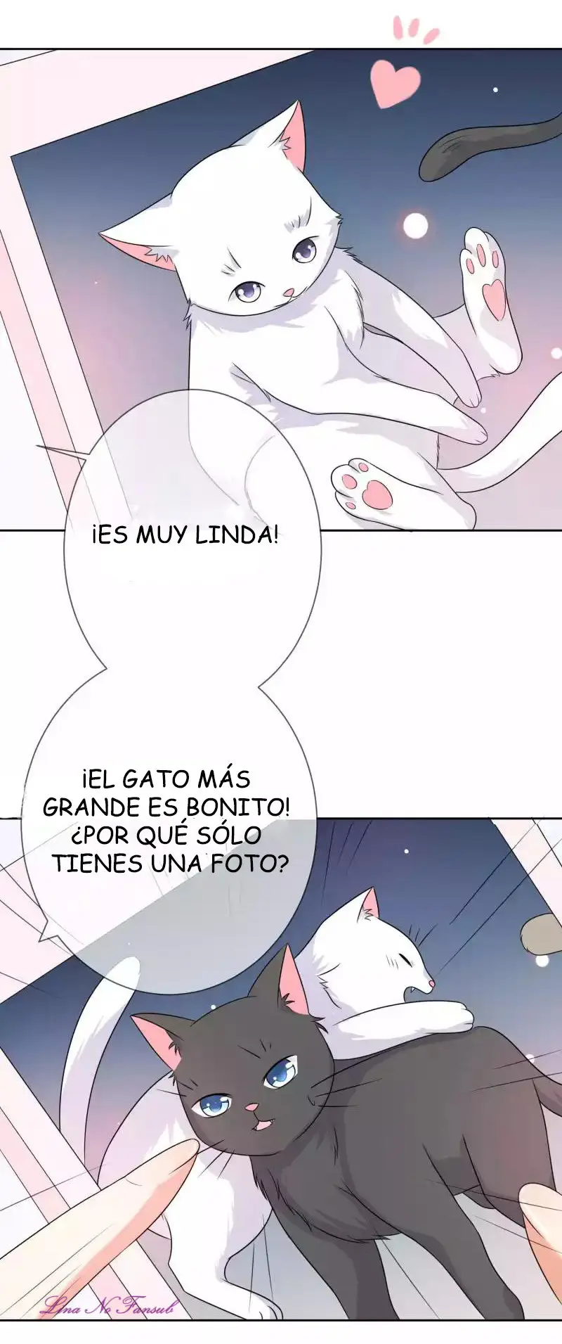 El Portador De La Magia De Oscuridad (2020) - Capítulo 3 - Página 14 - LectorTMOo