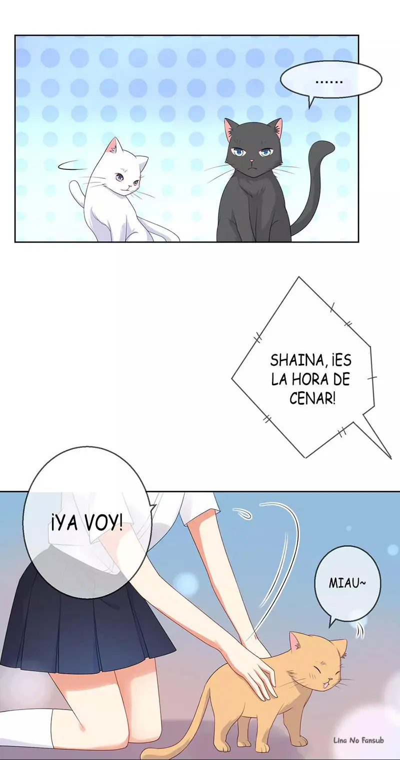 El Portador De La Magia De Oscuridad (2020) - Capítulo 9 - Página 3 - LectorTMOo