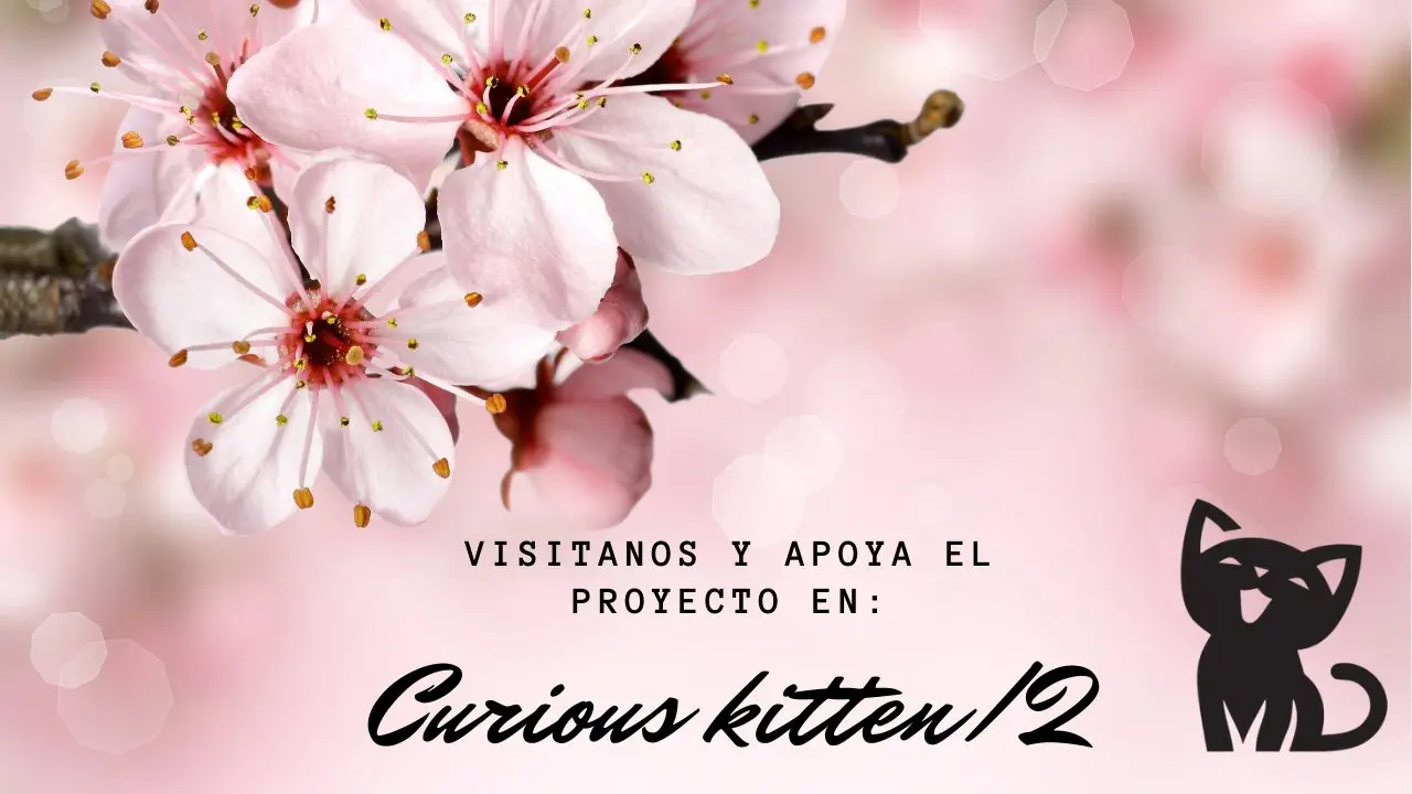 El señor demonio quiere asumir la responsabilidad de mi ¡¡ - Capítulo 7.2 - Página 24 - LectorTMOo