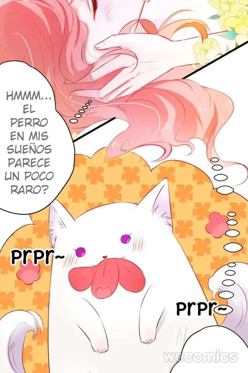 El Vampiro Adorable (2019) - Capítulo 1 - Página 10 - LectorTMOo
