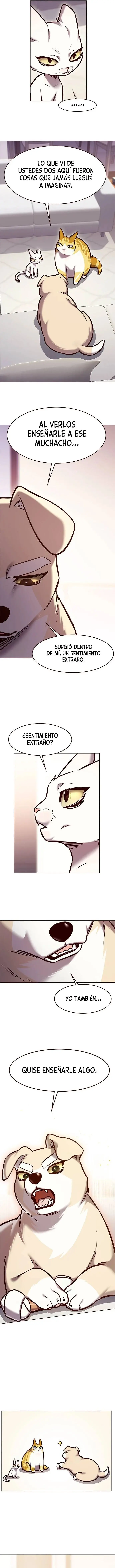 Eleceed (2018) - Capítulo 285 - Página 5 - LectorTMOo