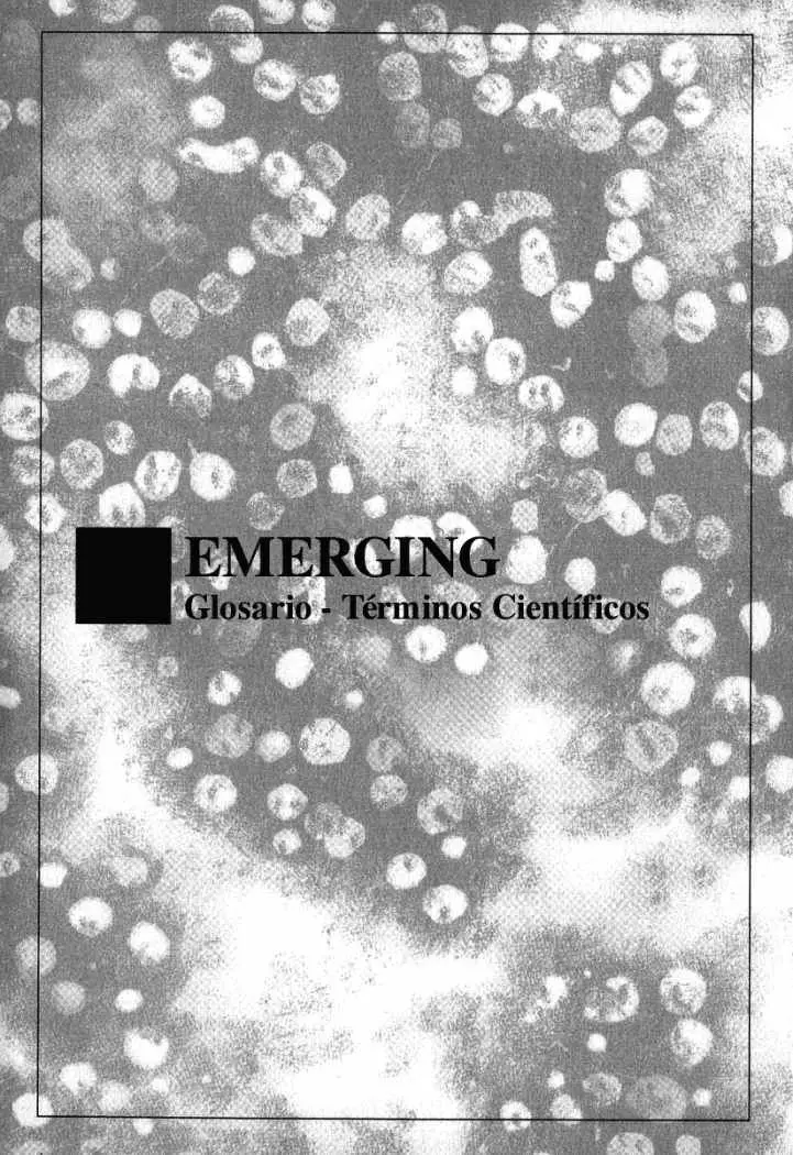 Emerging (2004) - Capítulo 22 - Página 29 - LectorTMOo