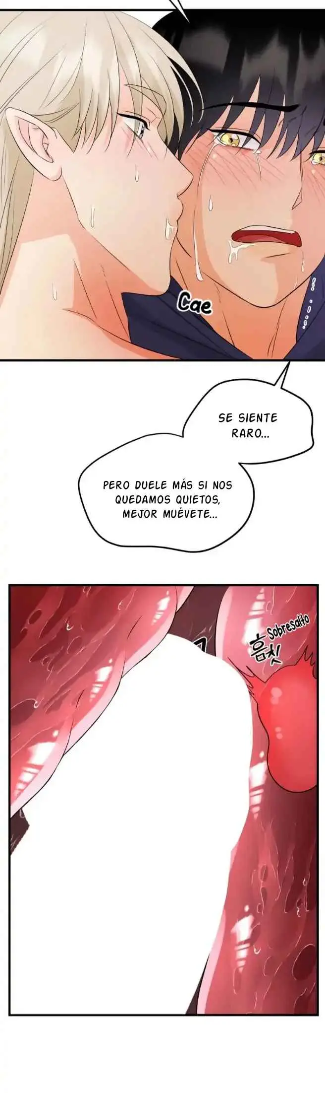 Fairy Pairing (Pareja de Hada) (2023) - Capítulo 17 - Página 23 - LectorTMOo